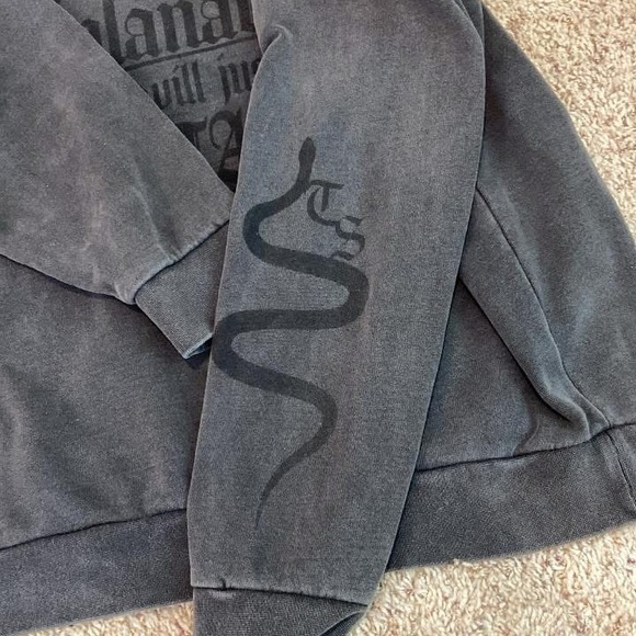Taylor Swift Gray Hoodie oversized hoodie - Picture 5 of 5